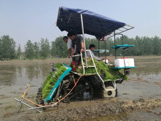  國家重點研發項目“江蘇單季粳稻區水稻化肥農藥減施增效技術集成與示範” 技術培訓與現場觀摩指導會在淮安召開(kāi)