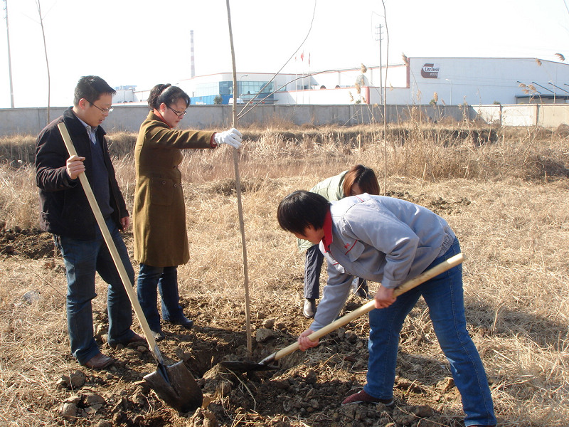 2011公司開(kāi)展義務植樹(shù)慶“三八”活動