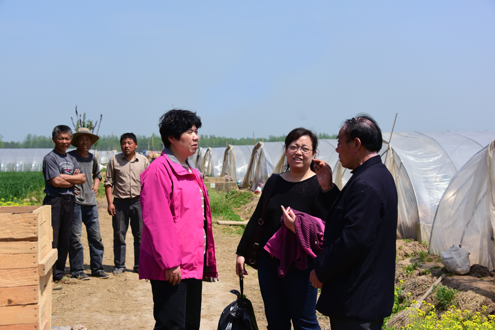 陳志(zhì)誼一(yī)行赴沭陽考察"設施番茄土傳病害生(shēng)物(wù)防控效果"